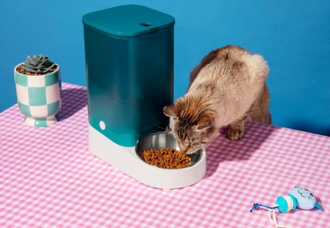 De makkelijkste manier om de kattenbak schoon te houden: automatisch scheppen!