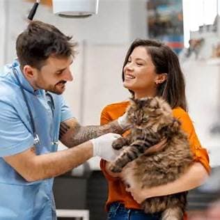 Kat gaat vaak naar kattenbak maar doet niks: Dit zijn de oorzaken!