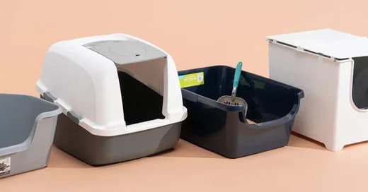 De beste tips voor het kiezen van een mooie design kattenbak