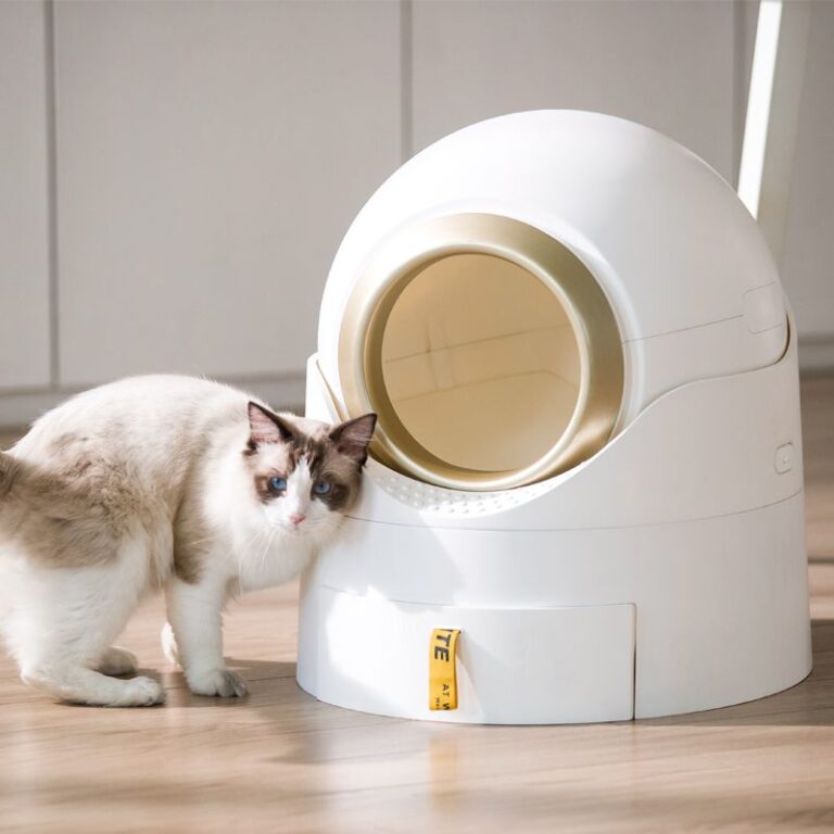 Semi Automatische Kattenbak: De Perfecte Balans Tussen Gemak en Betaalbaarheid