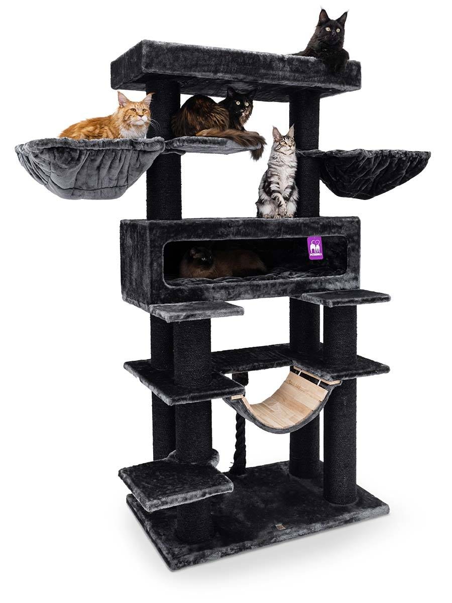 Klimmeubel Kat: De Beste Klimmeubel voor je Kat en Tips voor het Kiezen van het Perfecte Meubel